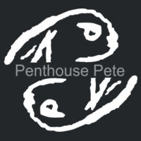 Light Ink Penthouse Pete Signature Sleeve  - Ladies Fan Favorite V Neck Tee Design
