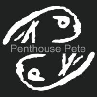 Light Ink Penthouse Pete Signature Cuff - Ladies PosiCharge ® Competitor ™ 1/4 Zip Pullover Design