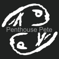 Penthouse Pete Printed  - PosiCharge ® Competitor ™ Headband Design