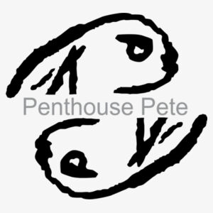 Penthouse Pete Signature Cuff Dark Ink - Ladies PosiCharge ® Tri Blend Wicking Fleece Crop Hooded Pullover Design