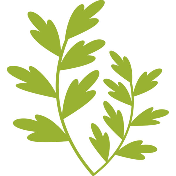 Leaves 11 Thumbnail