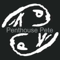 Penthouse Pete Printed  - Yupoong ® 5 Panel Classic Trucker Mesh Back Cap Design
