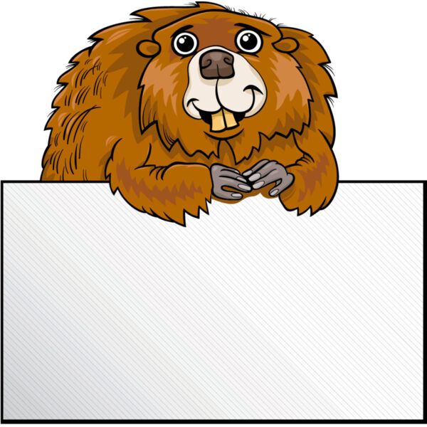 Beaver Frame 1 Thumbnail