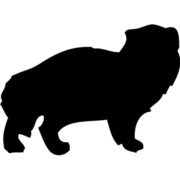 Ferret Silhouette 6 Thumbnail