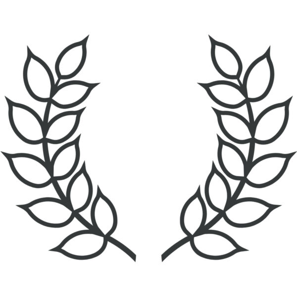 Branch Wreath 20 Thumbnail