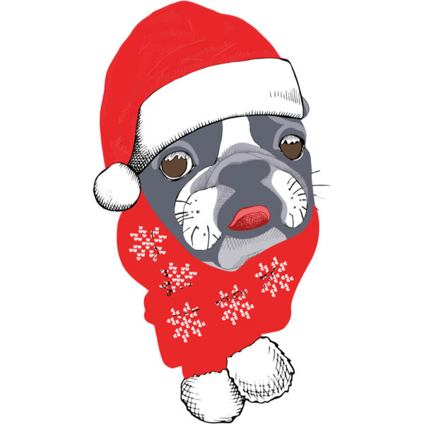 Christmas Dog 2 Thumbnail